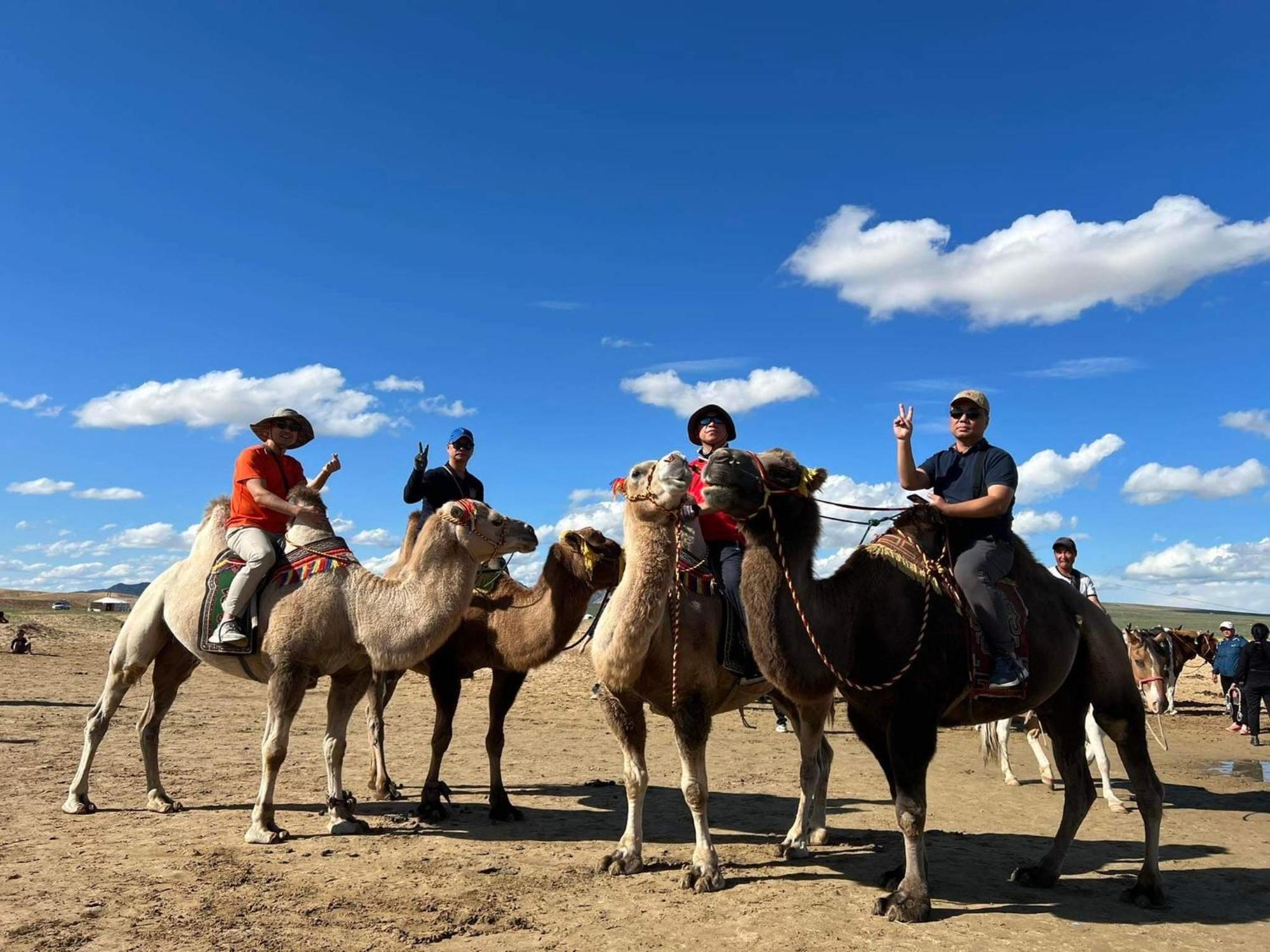 Camel Track Guesthouse And Tour Operator Llc Ulaanbaatar Esterno foto